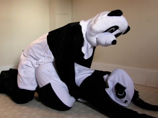 we tried pornhubs pandas 